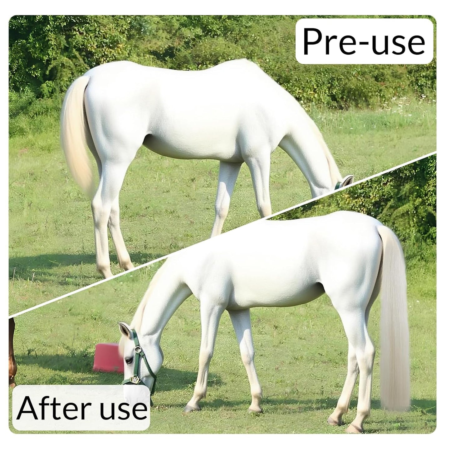 Horse Tail Extension with Braided Horsehair Loop, Blunt Cut Bottom, 3/8 lb, 28-30 inches (Pure White)