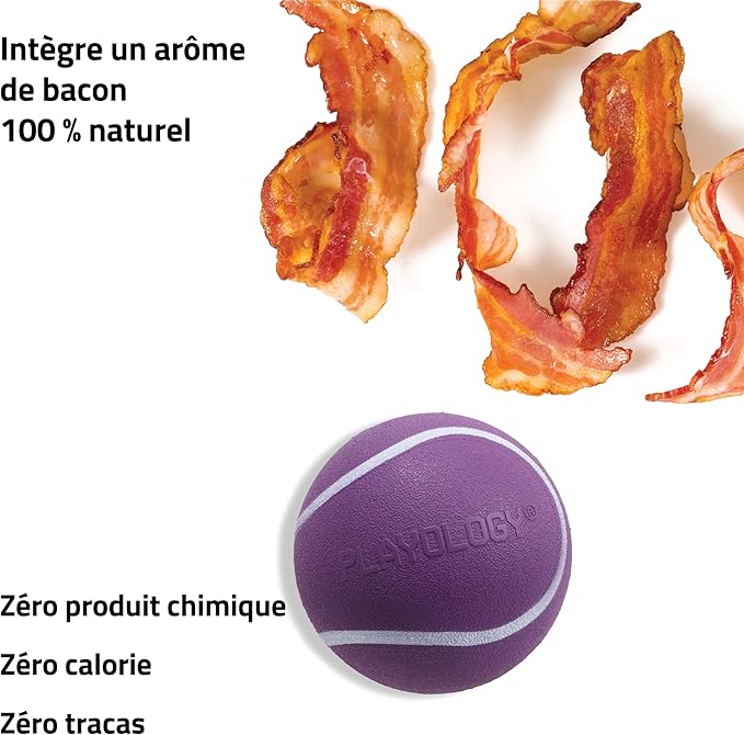 Playology Dog Toys | Squeaky Chew Ball - Squeaky and Bouncy Durable Floating Fetch Ball for Dogs | Jumbo Sweet Potato Scented Toy - Easy to Clean and Made from Non Toxic Materials