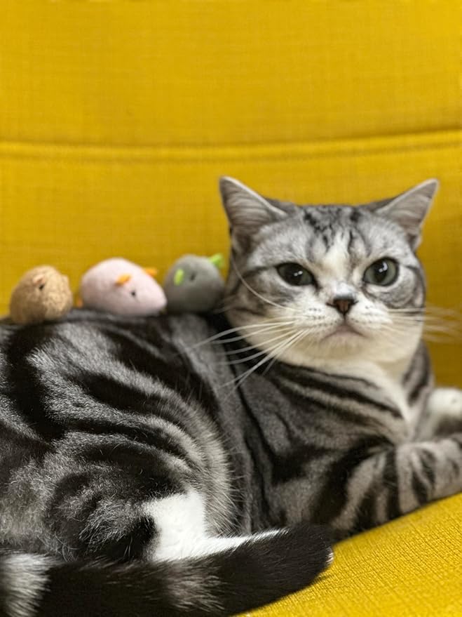 Durable Chew-Resistant Realistic Plush Mice Cat Teething Toys, Long-Lasting Interactive Kitten Toys