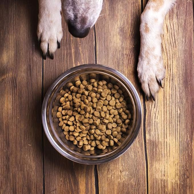 kathson Stainless Steel Whisker Relief Cat Bowl, 4 pcs Shallow and Wide Bowls, Pet Cat & Dog Feeding Large Dishes Fits with Elevated Stands Pet Bowl Stand (9.44 Inch Dia.)