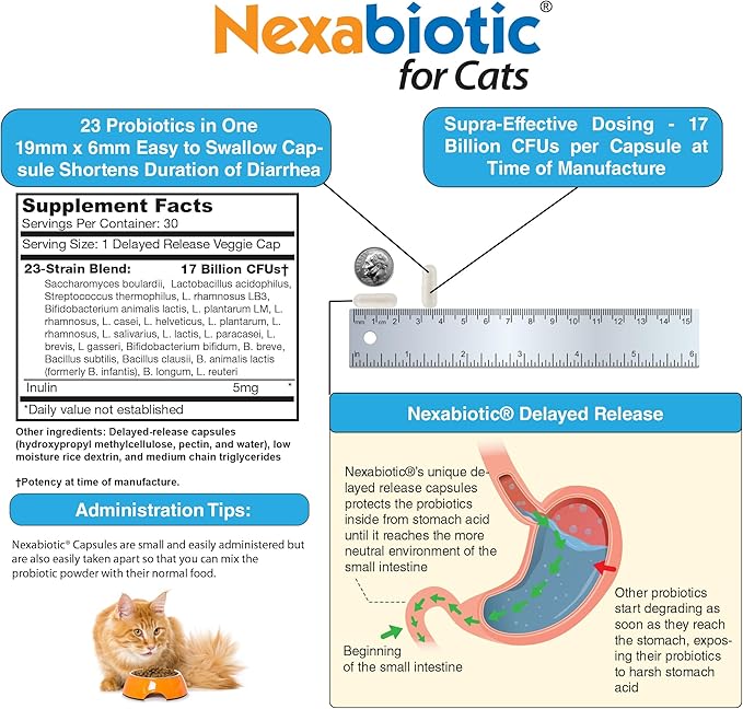 DrFormulas Nexabiotic Probiotics for Cats Powder | Treats Diarrhea for Pets with Saccharomyces Boulardii Lactobacillus Acidophilus, Best Probiotics Supplement for Digestive Health 30 Capsule