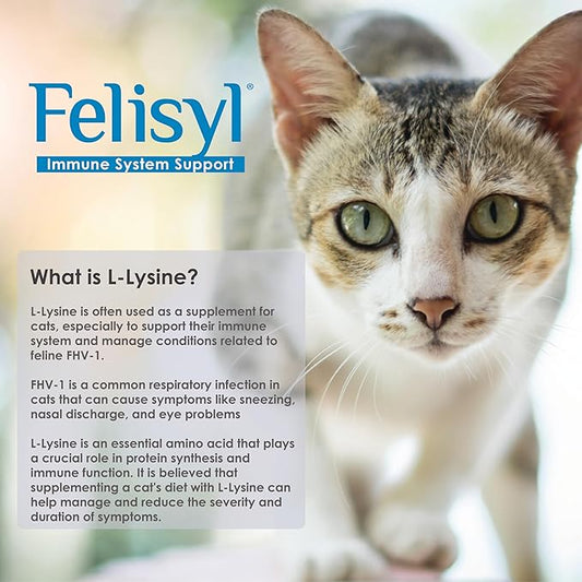 L-Lysine Gel for Cats (5oz) – Supports Immune, Respiratory, and Eye Health. Eases Sneezing, Runny Nose, and Watery Eyes. Tasty Salmon Flavor - Made in The USA