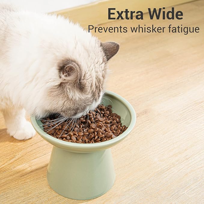 Extra Wide Elevated Ceramic Cat Bowl, 6.2" Shallow Dish for Whisker Fatigue Relief, 5" Height for Easy Feeding, Durable Raised Cat Food Bowls, Pack of 2, Sage Green