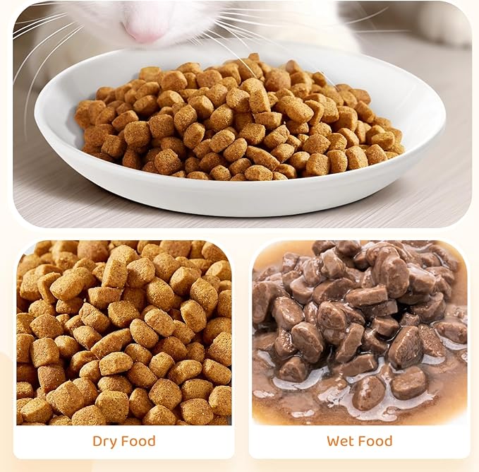 Ceramic Cat Food Plates: Cat Wet Food Bowls/Whisker Fatigue Cat Dishes & Shallow Bowls for Kittens and Small Animals
