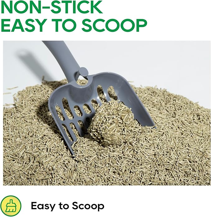 HoneyCare Tea Cat Litter | Natural Plant-Based Formula | Long-Lasting Odor Control | 99% Dust-Free & Low Tracking | Flushable Cat Litter | 24-lbs Value Pack (6 lbs x 4)