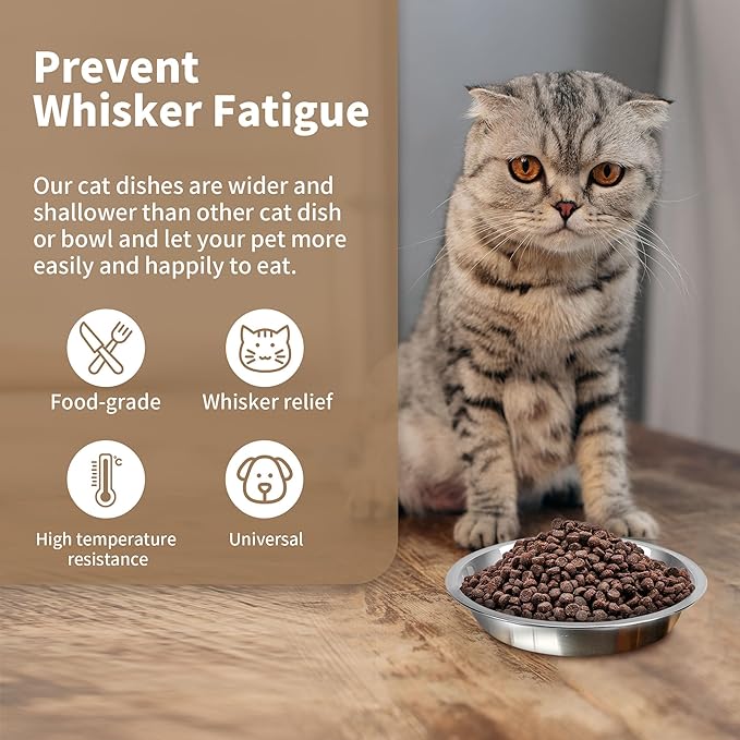 HUOIQUE 10 Pcs Stainless Steel Bowls, Whisker Fatigue Cat Bowl for Food and Water, Metal Shallow Cat Dishes, 6.2 Inches (Thicker)