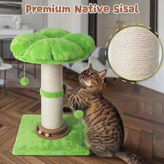 Fantasreen Cat Scratching Post Cat Scratcher Tall Scratching Posts for Indoor Cats with Cat Toy and Interactive Ball Self Groomer for Kittens Adults Cats (Green)