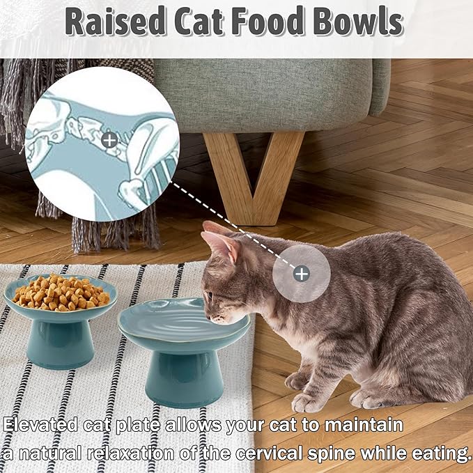 VCEPJH Elevated Cat Bowls 6.1in Shallow Cat Food Plate Pack of 2 Ceramic Raised Cats Dish Flat Anti Whisker Fatigue Wide Pet Food & Water Feeder for Indoor Kitty Kitten (Blue)