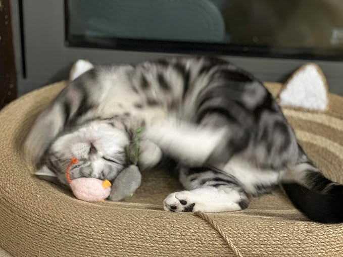 Durable Chew-Resistant Realistic Plush Mice Cat Teething Toys, Long-Lasting Interactive Kitten Toys