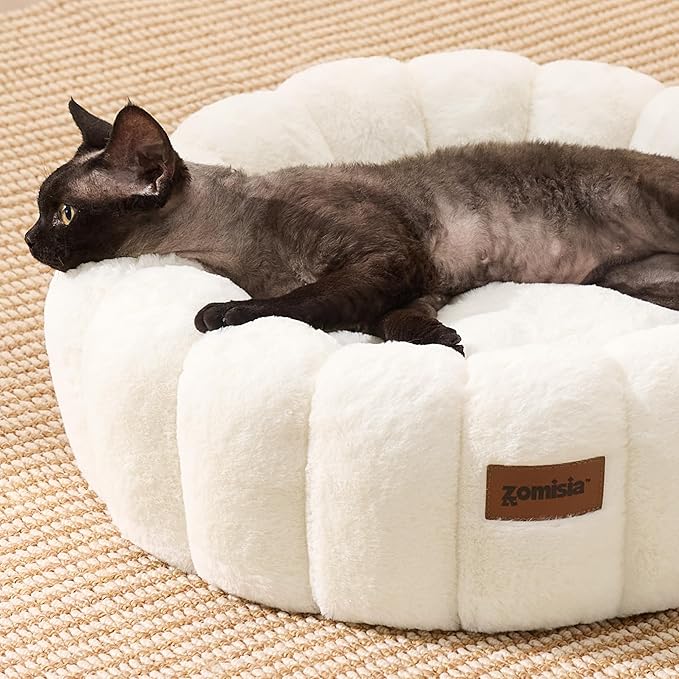 Plush Donut Kitten Beds, Round Small Dog Bed for Puppies, Anti-Slip Bottom, Beige