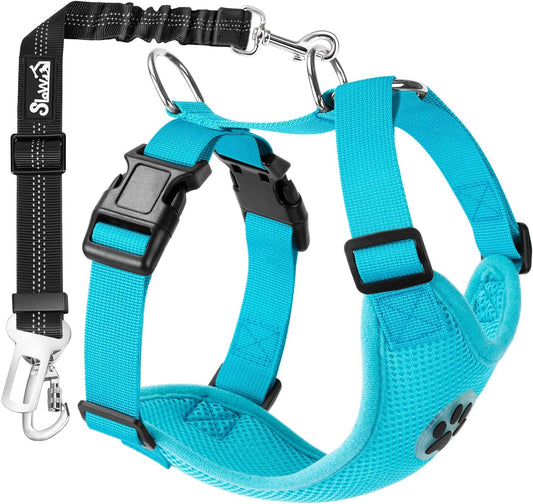 SlowTon Dog Seat Belt Harness for Car, Dog Car Harness Adjustable Mesh Breathable & Dog Seatbelt Safety Tether with Elastic Bungee for Small Medium Large Pets(Light Blue, Double Clip, M)