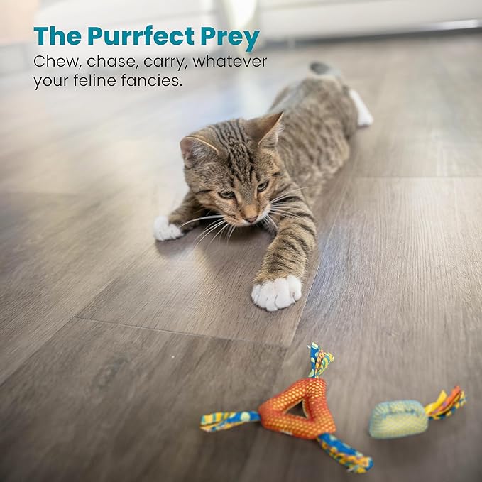 Petstages Dental Health Chews Pair