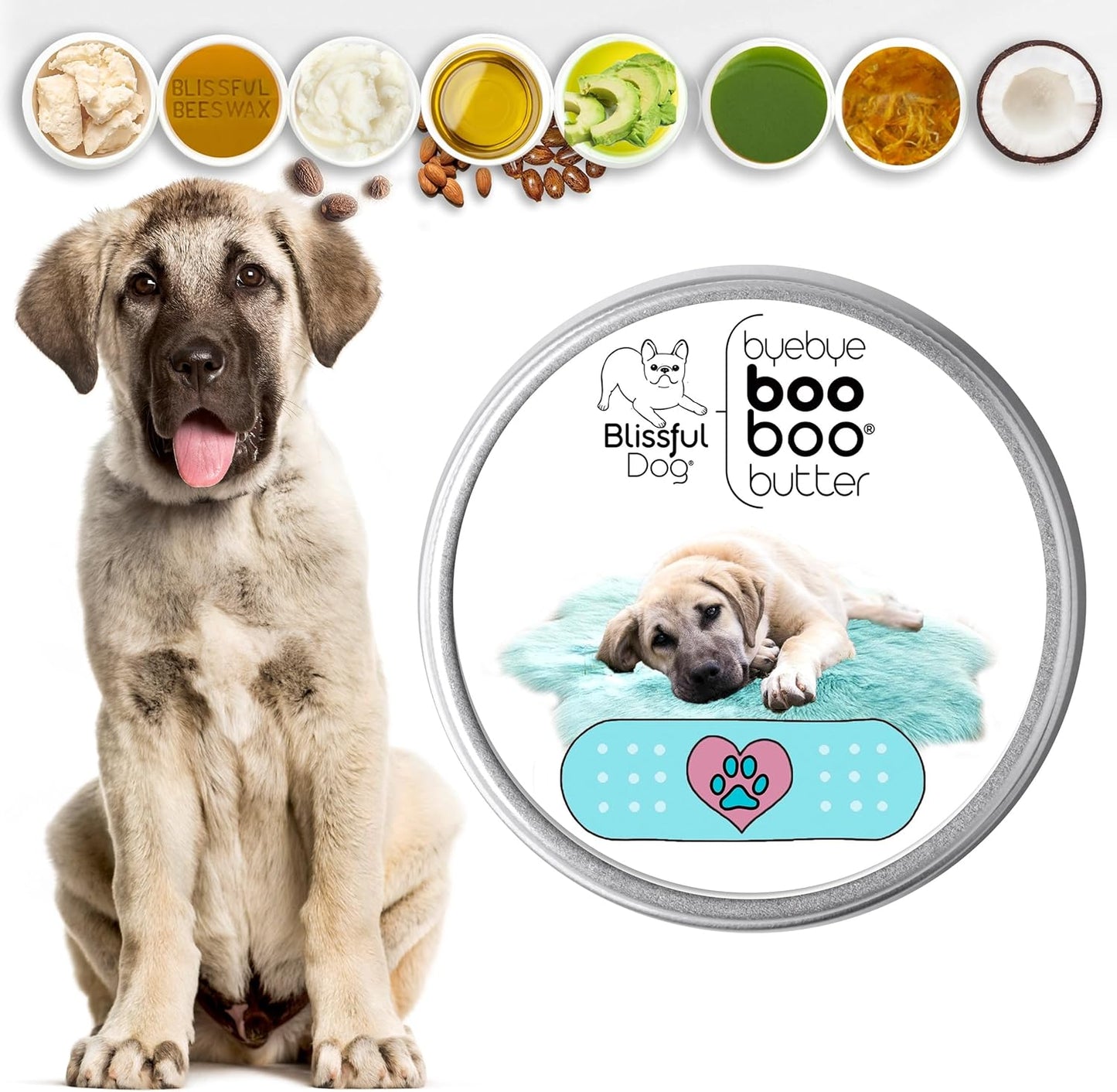 The Blissful Dog Anatolian Shepherd Boo Boo Butter, 8 Ounce