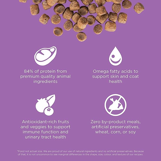 Go! Solutions Carnivore, Grain-Free, Protein Rich Dry Cat Food, Chicken, Turkey and Duck Recipe, 8 lb Bag