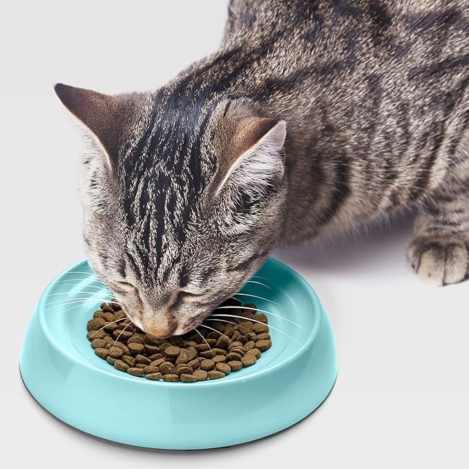 CatGuru Cat Bowls, Whisker Friendly Cat Food Bowl for Indoor Cats, Reliefs Whisker Fatigue, Wide Pet Bowl, Non Slip Pet Feeding Bowls, Shallow Kitten Dish (Aruba)
