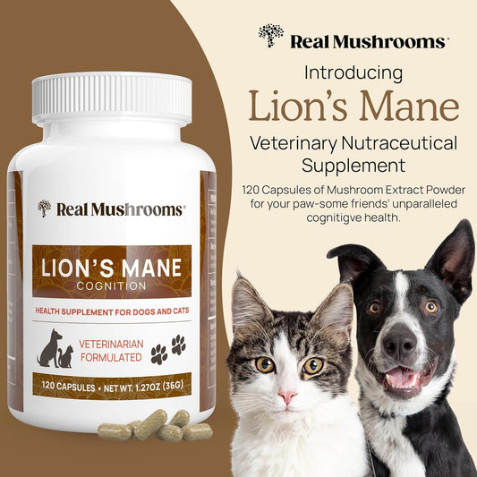 Real Mushrooms Lion’s Mane Pet Mushroom Supplement – Pet Wellbeing Capsules – for Cat & Dog Supplement & Vitamins – Support Mindful Routines – Organic, Vegan, Non-GMO, 120 Count