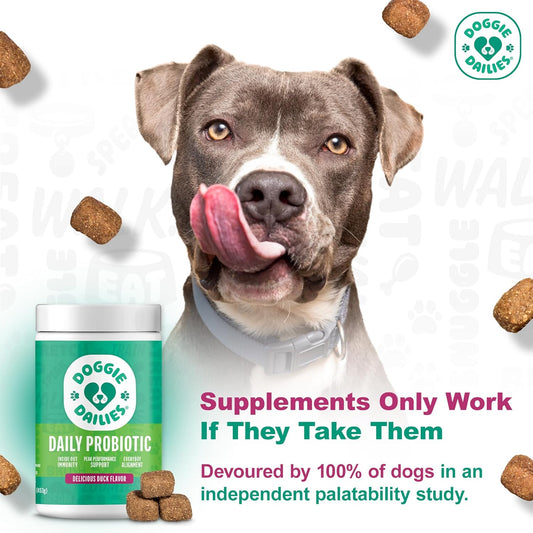 Doggie Dailies Probiotics for Dogs, Advanced Probiotics with Prebiotics, Promotes Digestive Health, Supports Immune System & Overall Health, Duck Flavor, 225 Chews