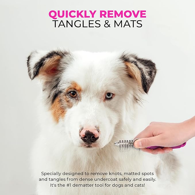 Poodle Dematting Fur Rake Comb Brush for Dogs and Cats - Long 2.5" Steel Safety Blades Metal Comb for Detangling Matted or Knotted Undercoat Hair