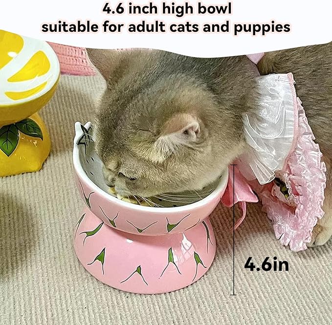 Hamiledyi Ceramic Raised Cat Bowl Anti Vomiting Elevated Tilted Cat Food & Water Bowls 2PCS Pet Feeder Dish for Indoor Kitty and Small Dogs(Lemons & Pitaya)
