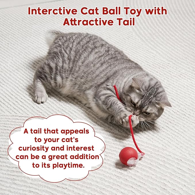 Interactive Dog & Cat Electric Active Toys, Smart Rolling Ball for Dogs & Cats, 360° Smart Automatic Rolling Pet Ball, Fast Moving Toy for Bored Indoor Kitty, Rechargeable(Red)
