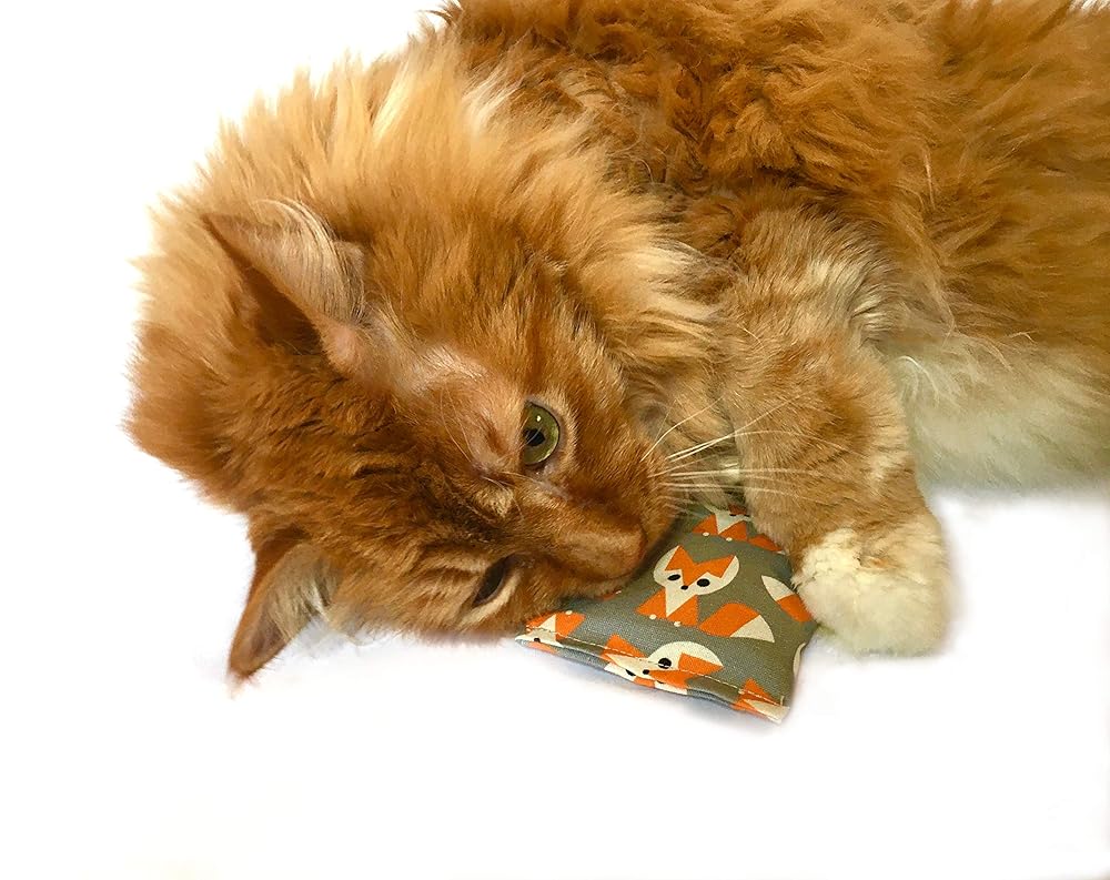 Organic Catnip Toys, Made with GOTS Certified Organic Fabric, Organic Catnip, Organic Thread, One package of 3 toys, Handmade in the USA