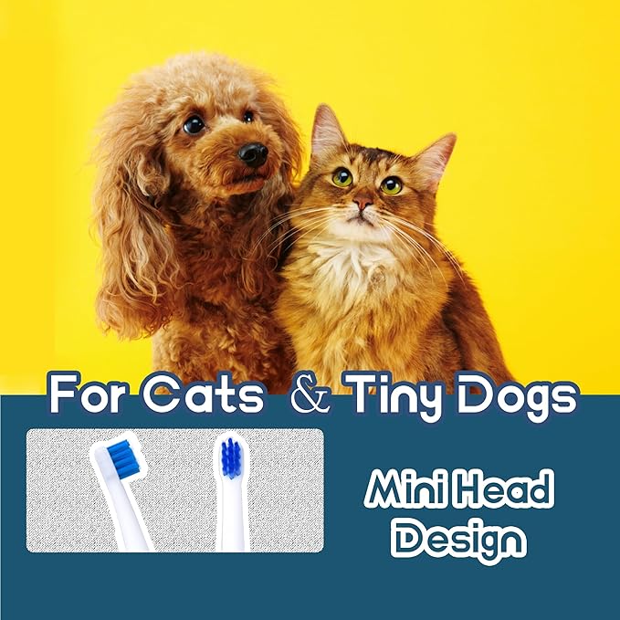 Tiny Dog Toothbrush, Small Breed Cat & Puppy Tooth Brushing Kit, Ultra Soft Mini 15° Curved Head Pet Teeth Brush for Kitten, Doggy Deep Dental Clean, Soft Bristles, 2 PCS - White
