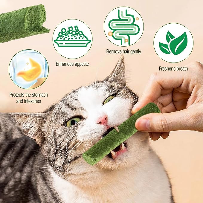 HavenJanny 100g/3.52oz Cat Grass Teething Stick for Cat, Cat Grass Stick Canned for Indoor Cats, Cat Grass Treats Hairball Relief and Teeth Cleaning