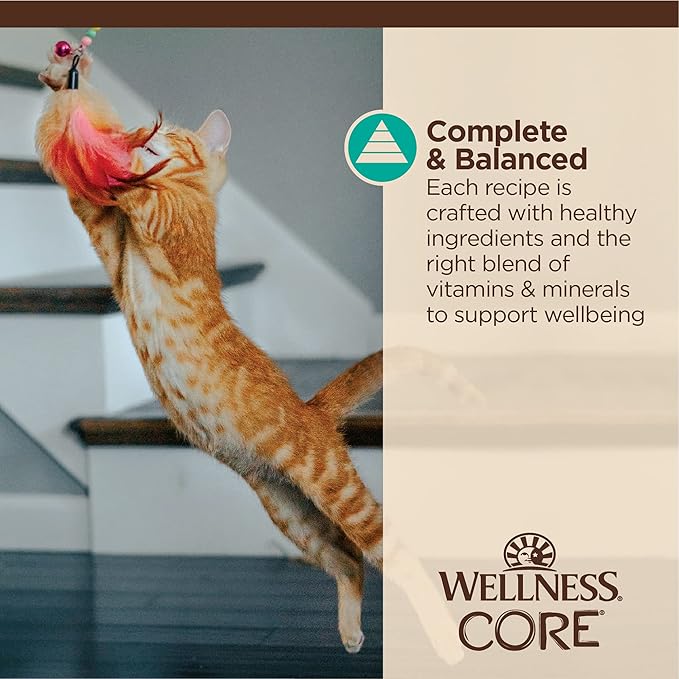 Wellness CORE Tiny Tasters Flaked Adult Wet Cat Food, Natural, Protein-Rich, Grain Free, 1.75-Ounce Pouch, 12 Pack, (Tuna & Salmon)