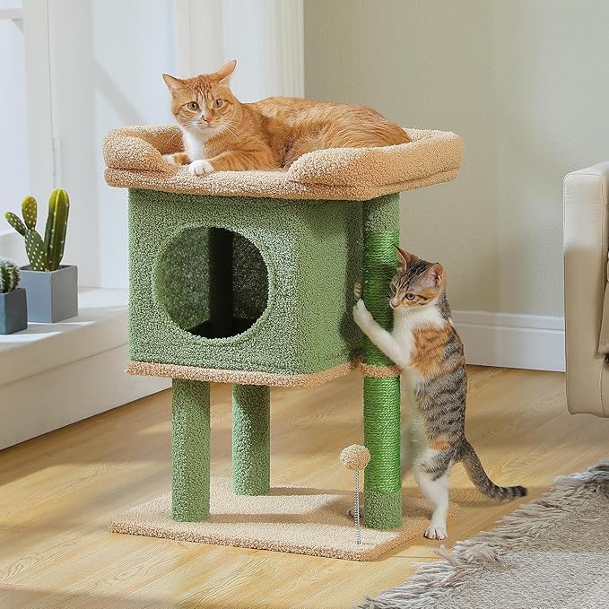 PAWZ Road Cat Tree for Indoor Cats, 26 Inches Cactus Cat Tower with Large Perch, Private Condo, Small Cat Condo with Spring Ball & 2 Scratching Posts for Cats