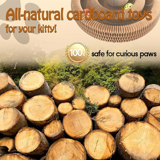 Double-Layer Cat Track Ball Toy, Cat Ball Adventure The Ultimate Interactive Mental Physical Exercise for Indoor Cats Toy