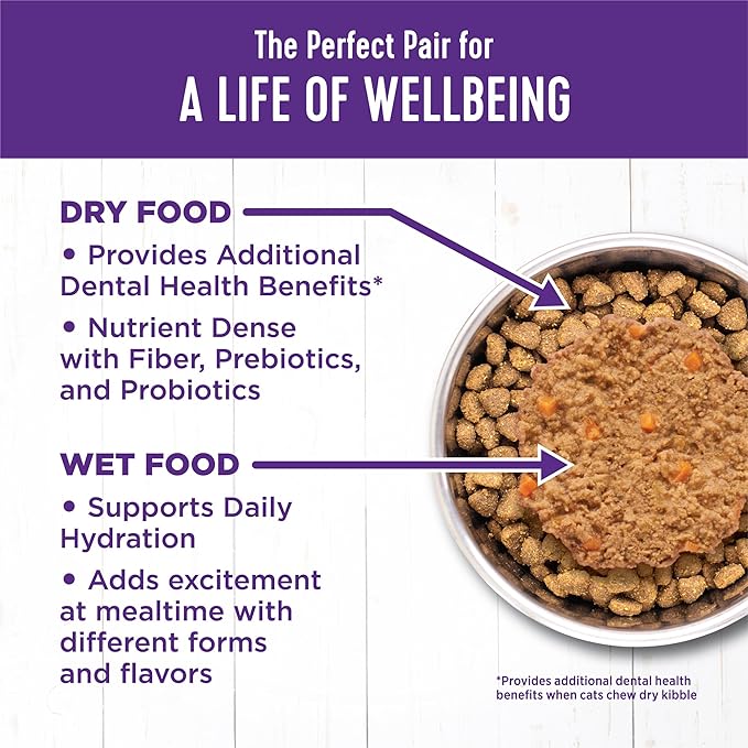 Wellness Complete Health Pate Kitten Wet Cat Food, Natural, Protein-Rich, Grain Free, 3 Ounce, 24 Pack, (Chicken)