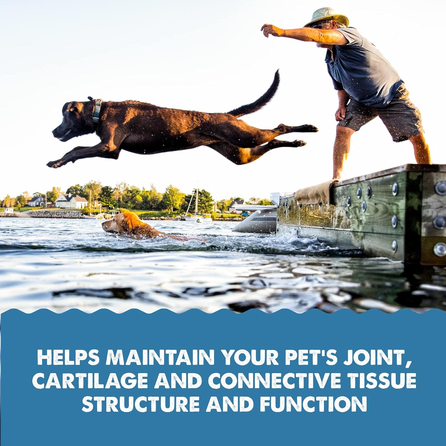 GRIZZLY PET PRODUCTS Joint Aid for Dogs Liquid Hip and Joint Support (Extra Strength), 16 fl oz