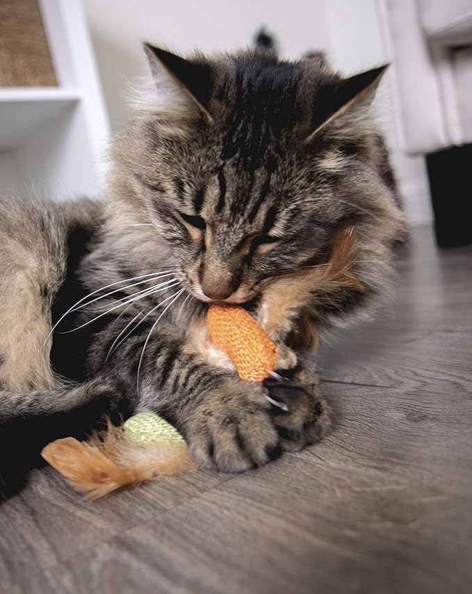 Petlinks (2 Count) HappyNip Love Birds Cat Toys, Contains Silvervine & Catnip - Multi Color, 2 Count