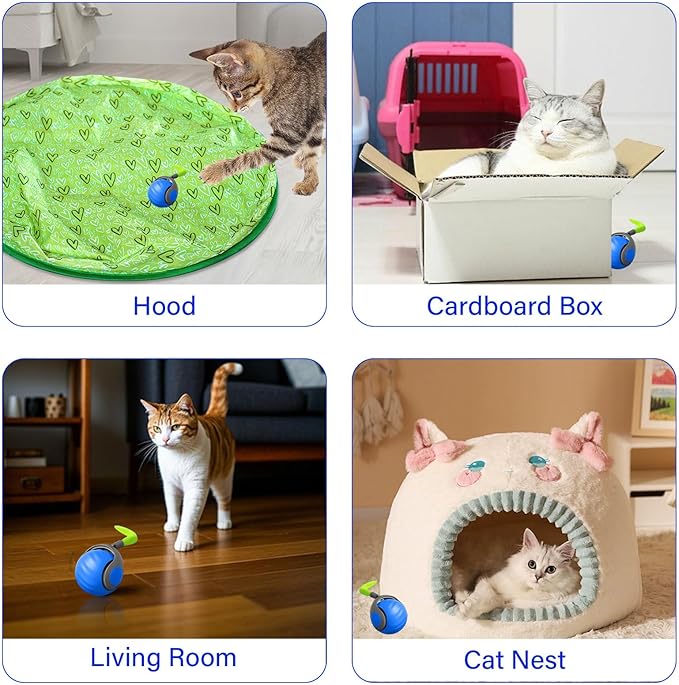 Interactive Cat Ball Toy with Feather, Smart Ball for Indoor Cats, Motion Activated Automatic Cat Toys, USB Rechargeable Toys, Blue