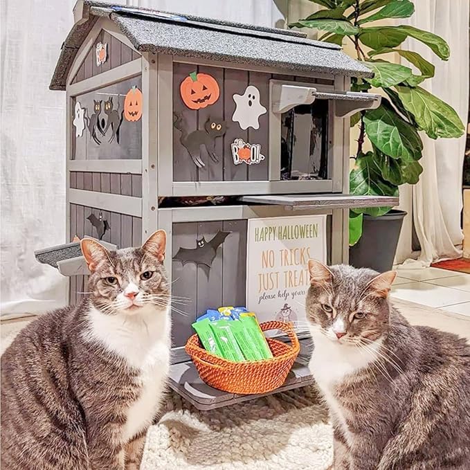 Cat Houses for Outdoor Cats 2-Story Large Cat Condo for Multiple Cats, Weatherproof Feral Cat Shelter with Window, Easy Clean Wood Kitty House