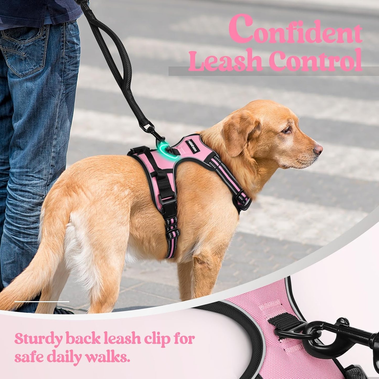 rabbitgoo Dog Harness No Pull with 2 Leash Clips, Adjustable Soft Padded, Reflective Oxford No Choke Pet Vest with Easy Control Handle for Medium Sized Dogs, Pink, M