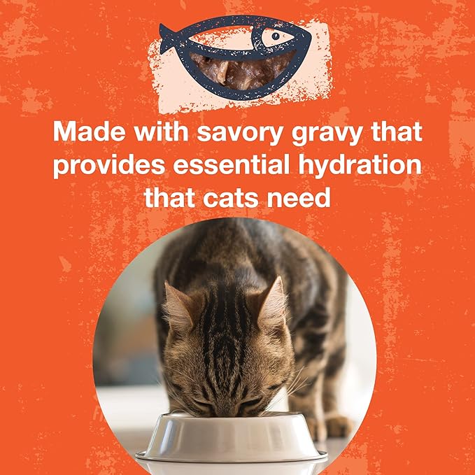 KOHA Poké Bowl Tuna & Chicken Entree in Gravy for Cats, 12-Pack of 3oz Pouches