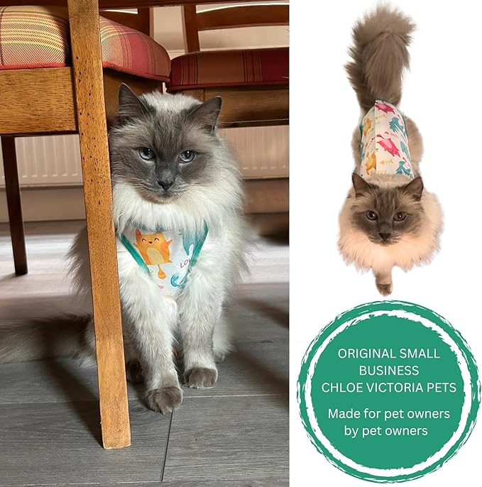 Cat Recovery Suit Surgical Onesie for Post Surgery/Neuter/Spay. Protection for Wounds and Skin infections for Male/Female Cats. Comfortable, Safe, (no Loose Cords) Cone Alternative. (Small)