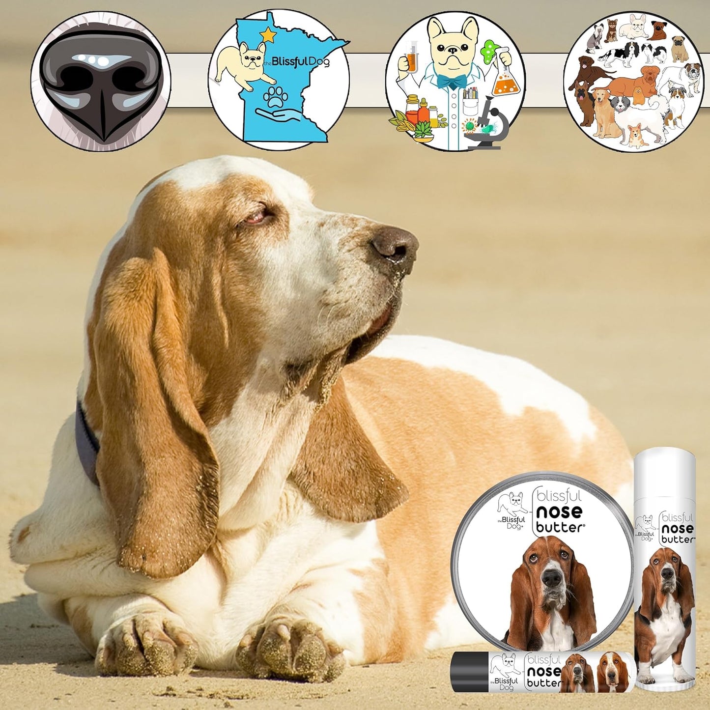 The Blissful Dog Basset Hound Nose Butter for Dry, Cracked Skin, Lick-Safe Dog Nose Balm with Moisturizing Shea Butter, Almond, Olive, and Essential Oils, Pet Supplies, Uncented, 0.50 oz.
