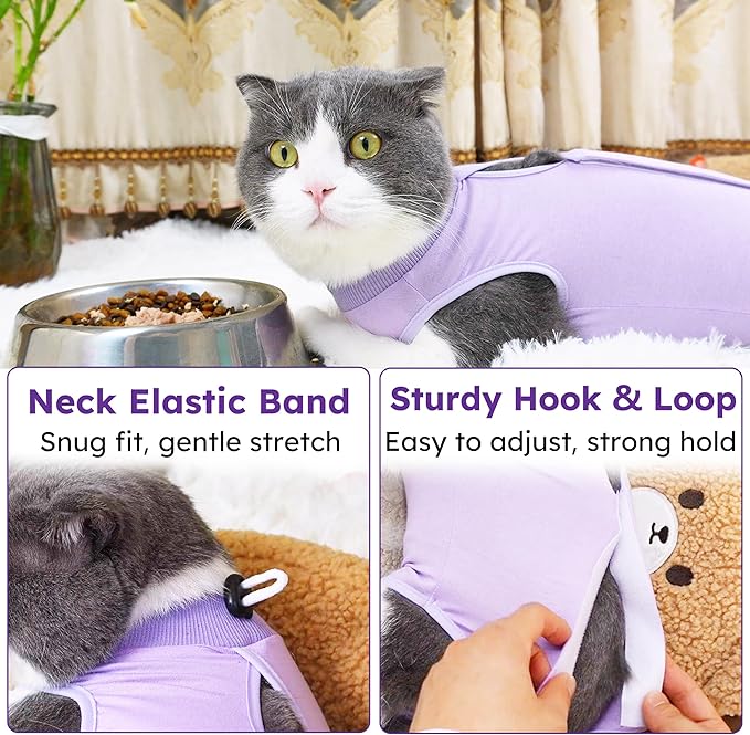 Cat Recovery Suit, Breathable Cat Surgery Recovery Suit Female, Cat Onesie for Cats After Surgery Spay Surgical Abdominal Wound Skin Diseases Cone of Shame Alternative Purple(M)