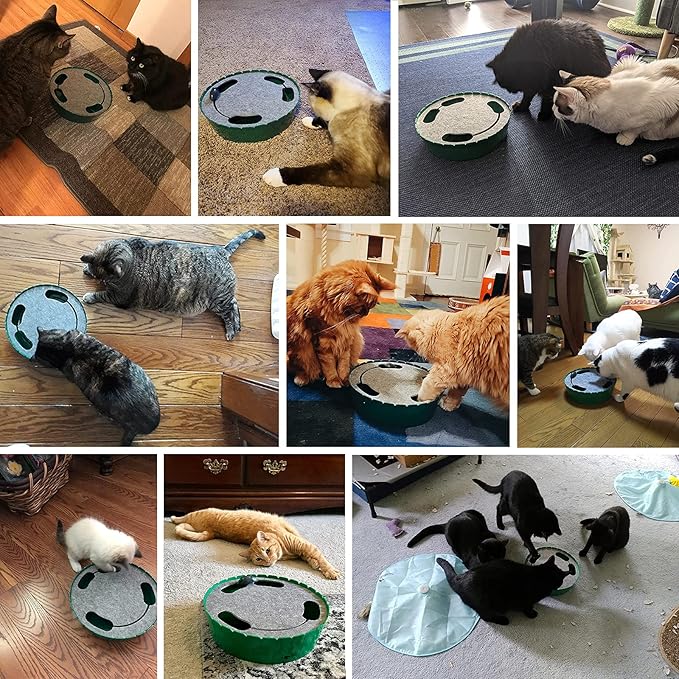 Pawaboo Interactive Cat Toy With Running Mouse, Electronic Motion Automatic Teaser for Indoor Cats, Pop and Play Hide Seek Hunting Mouse for Pet Kitten Play Fun Exercise, Blue