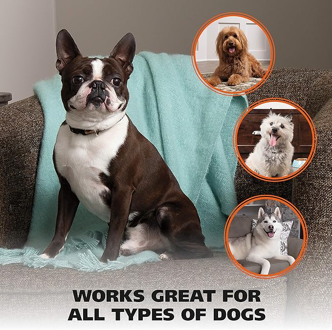 WAHL Pet Nail Clipper for Cutting Dog, Cat, & Animal Claws with Razor Sharp Stainless Steel Blades & Protective Safety Guard Locks for Safe Claw Care – Model 858448