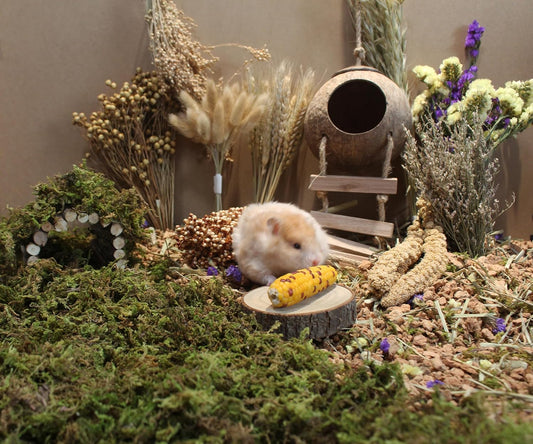 Natural Hamster Bedding - Flowers, Herbs, Sprays, Treat Cereal Grain for Cage Habitat Enclosure Decor - Hamster Chews for Dwarf Syrian Gerbils, Mice, Rat Forage - Pet Accessories