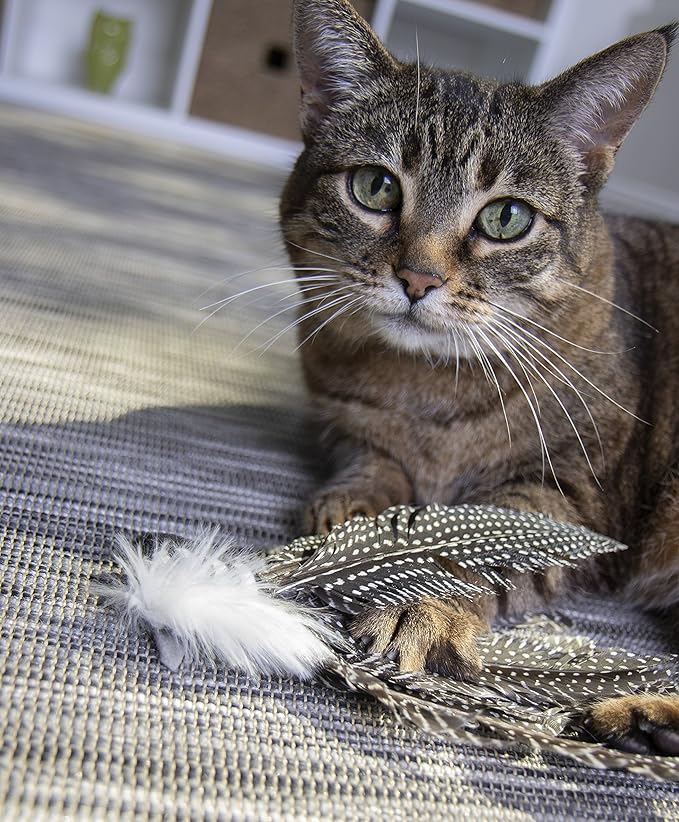 Petlinks HappyNip Zippy Zebra Feather Cat Toy, Contains Silvervine & Catnip - Black/White, One Size