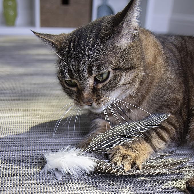 Petlinks HappyNip Zippy Zebra Feather Cat Toy, Contains Silvervine & Catnip - Black/White, One Size