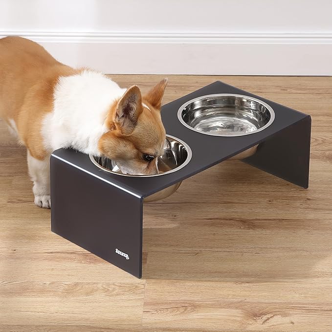 THE LICKER STORE DBL2001J Keaton 7.5" Medium/Large Modern Acrylic Rectangular Elevated Pet Feeder with 54oz 2-Stainless Steel Bowls, Dark Gray/Chrome