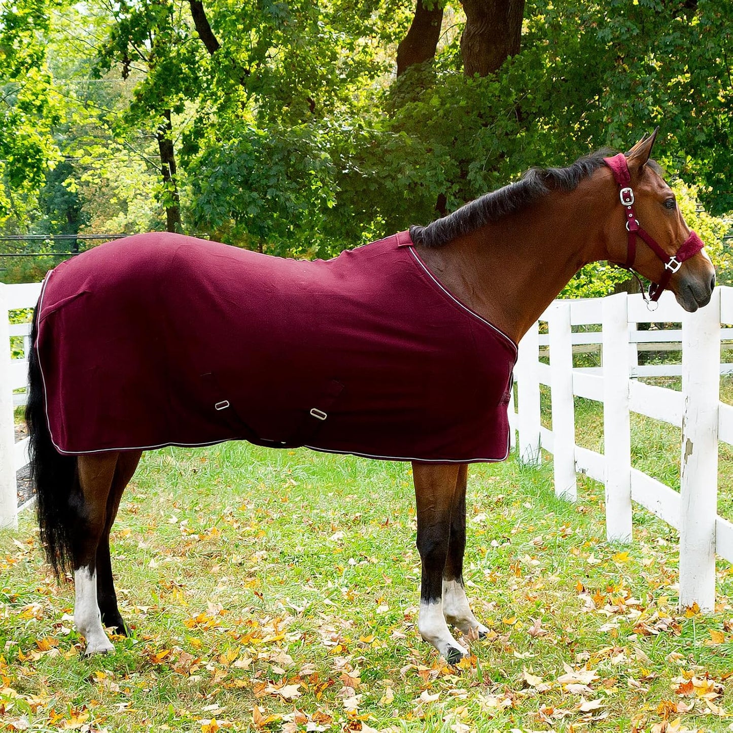 HORZE Kiel Adjustable Horse Halter with Fleece Padding - Dark Red - Pony