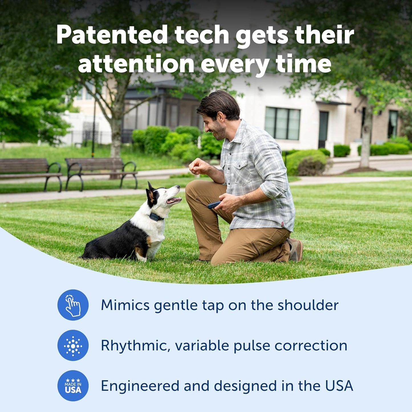 PetSafe Pro Remote Trainer Add-A-Dog Collar – Extra Collar for Dog Training Collar with Remote – Waterproof – 1000 Ft Range – Tone, Vibration and 19 Levels of Static – Sleek, Low-Profile Design