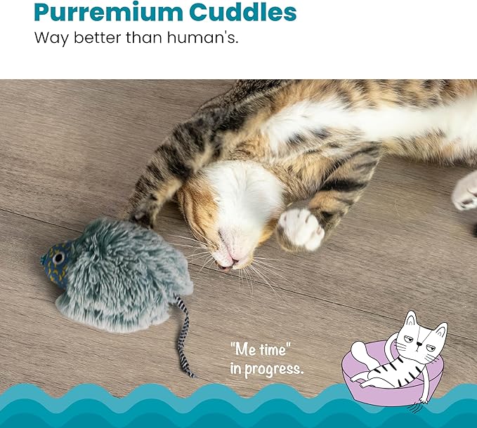 Catstages Nighttime Cuddle Plush Cat Toy with Catnip and Glow Details, Blue - Soft, Comfortable, Quiet