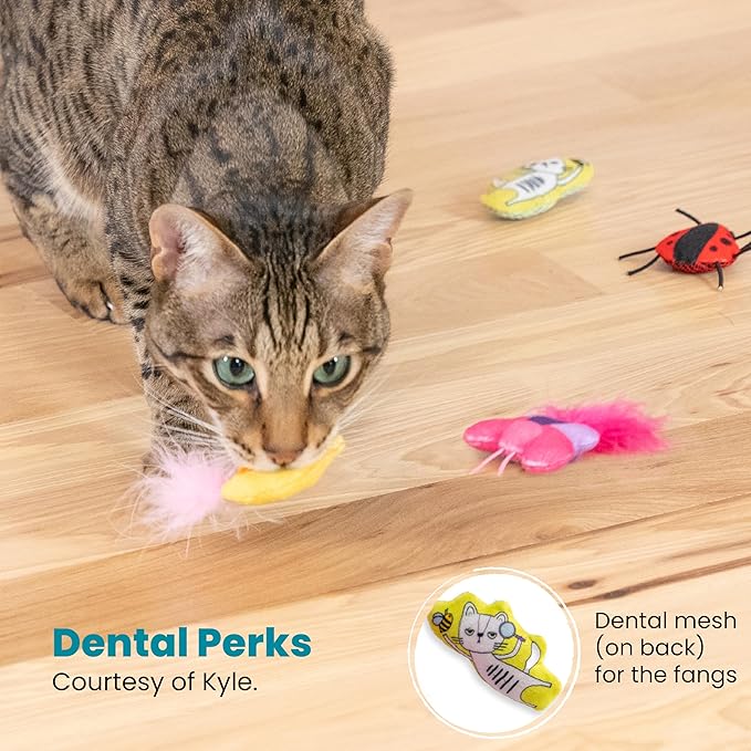 Catstages Cute as a Bug Cat Toys, 6-Pack Interactive Catnip Plush Toys with Crinkle, Feathers & Dental Mesh, Multicolored
